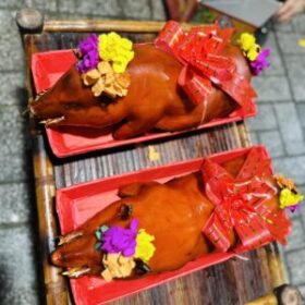 Heo sữa quay 4.5 Kg